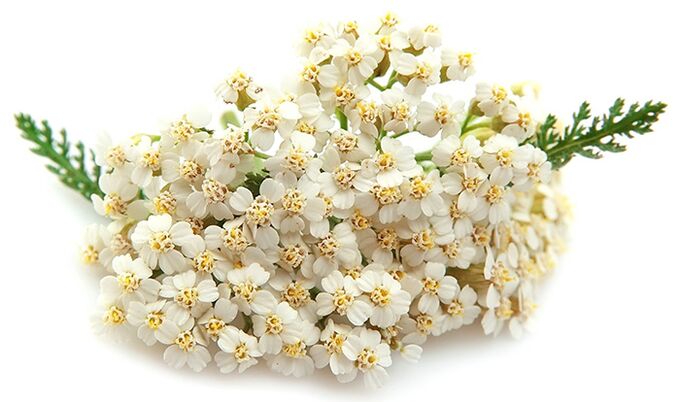 Gelarex satur tūkstoš lapu